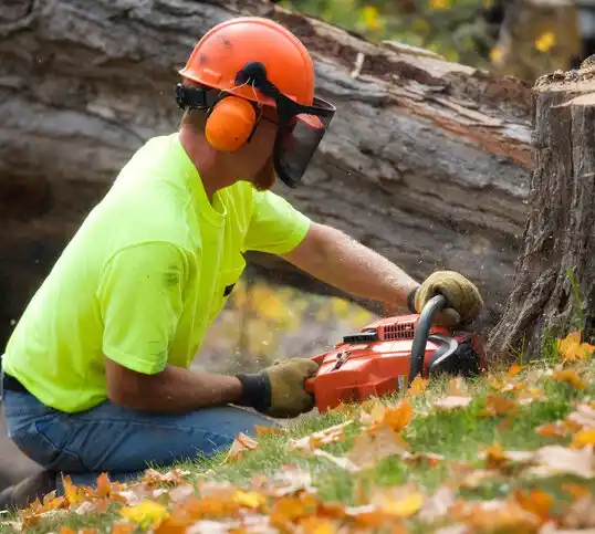 tree services Fair Haven